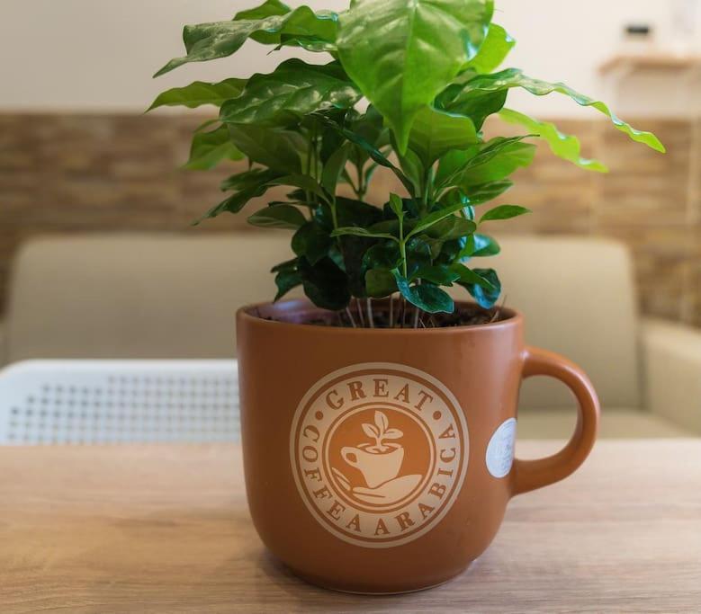 Apartament Il Tempo Di Un Caffe Neapol Zewnętrze zdjęcie